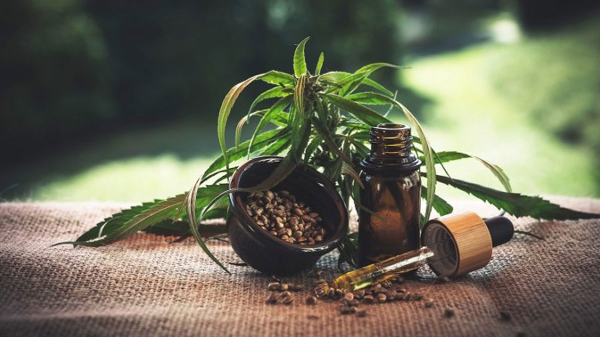 All about Terpene Tinctures: Rising Star of Personal Health Care